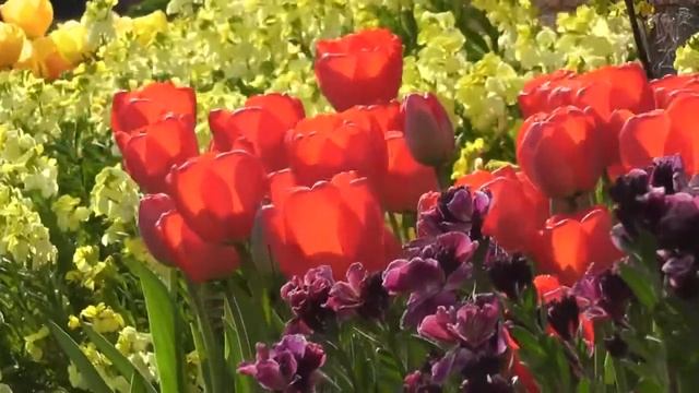 Peaceful Garden. Мusic for feminine energy. Умиротворяющий сад. Музыка для женской энергии. смотреть онлайн