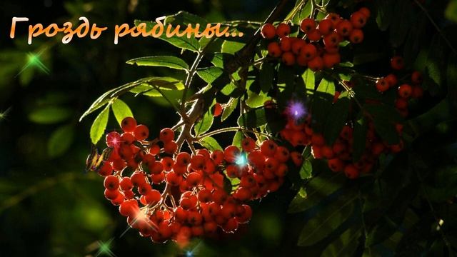 Гроздь рябины... смотреть онлайн