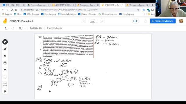 Итоговая задачка на дигибридное скрещивание смотреть онлайн