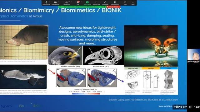 BIOKON Webinar 2 "Bionik als Innovationsmethode" смотреть онлайн