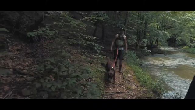 2017 Kasper Larsen Media Hightlight Reel смотреть онлайн