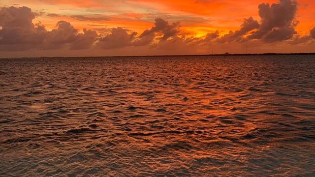 Insight Timer Live Recording 12/15/2020 смотреть онлайн