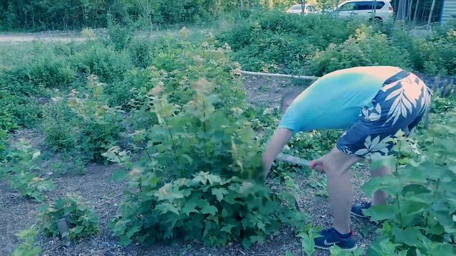 Исторические Открытия