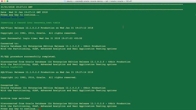 Oracle 12c Database Rewind Demo смотреть онлайн