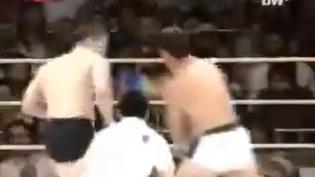 Mirko Crocop Vs Ibragim Magomedov