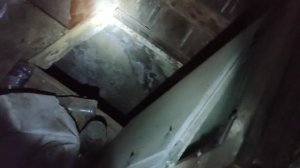 Страшные вещи творятся в подвале ночью
