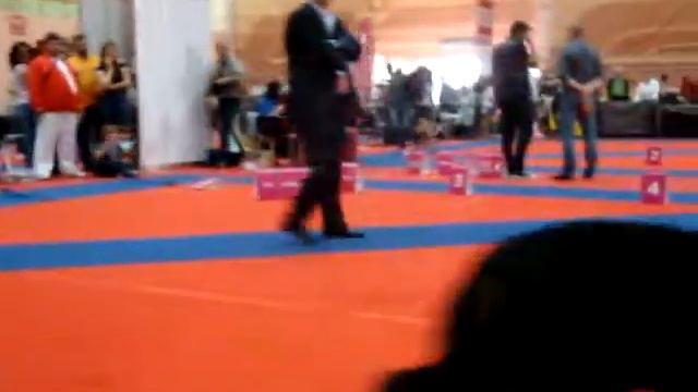 Euro Dog Show Bucharest 2012- Best of Breed (BOB) смотреть онлайн