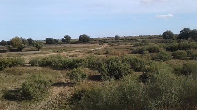 Природа с. Ганюшкино, Атырауская область, Кигач смотреть онлайн