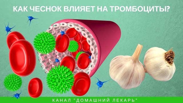 Чеснок разжижает кровь и избавляет от тромбов - Домашний лекарь - выпуск №250 смотреть онлайн