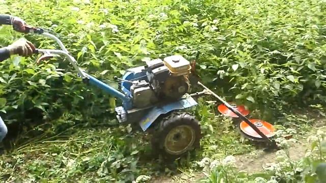 Косьба мотоблоком Нева в Ромашково. смотреть онлайн