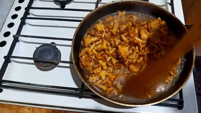 Очень вкусные жареные лисички. Жареные лесные лисички. Рецепт жареных лисичек. смотреть онлайн