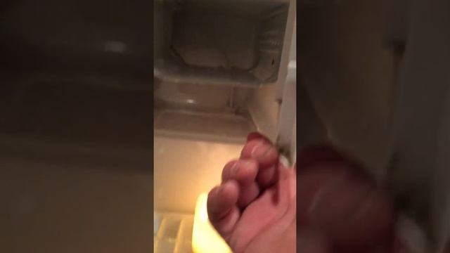 How to thaw a mini fridge смотреть онлайн