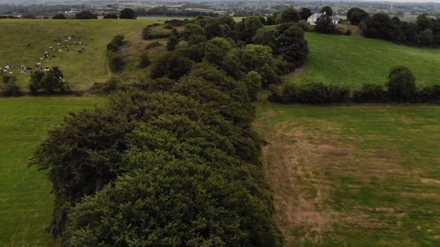 GAME OF THRONES FILM LOCATION THE DARK HEDGES BALLYMONEY CO. ANTRIM NORTHERN IRELAND смотреть онлайн