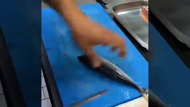 Рыба скумбрия разделка повар смотреть онлайн