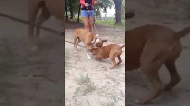 staff vs stuff смотреть онлайн