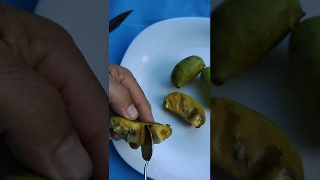 Азимина трехлопастная или банановое дерево. смотреть онлайн