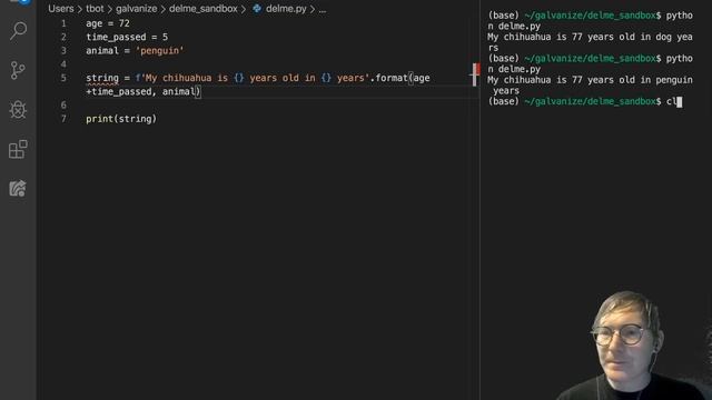 String Formatting - format and f-strings смотреть онлайн