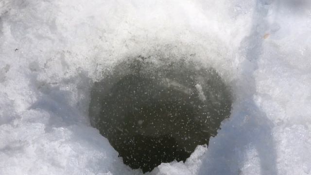 Рыбалка на оз. Большом Тельмана. ОГРОМНЫЙ РОТАН РАЗОГНАЛ мелочь!!! подводная съемка. смотреть онлайн