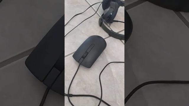 giveaway mouse смотреть онлайн
