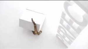 perfect fit 2011 active2)