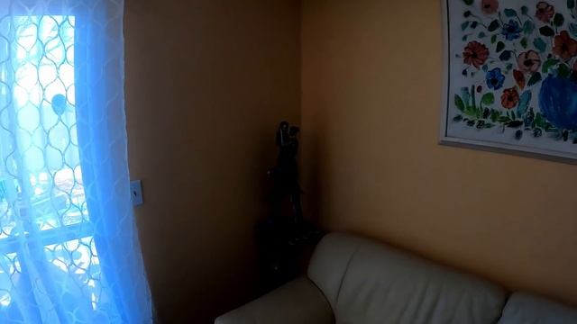 Обзор нашего дома за 1850$ в месяц в Америке. Сожгли в камине $ 800 CША!!!!