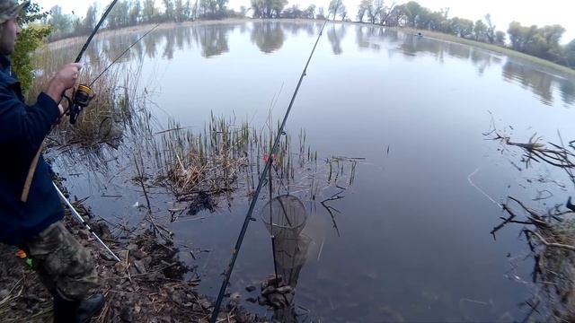 Удачно половили карася. Ловля карася. смотреть онлайн