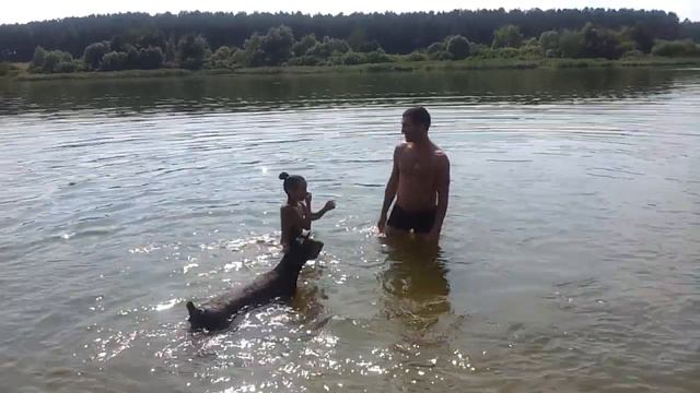 Доберман с своей семьей !!! смотреть онлайн