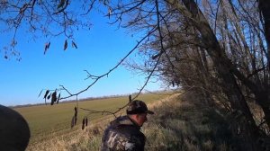 ОХОТА НА ЗАЙЦА