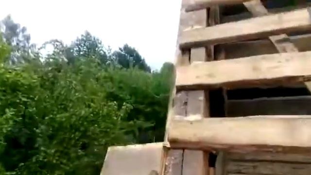 Грандлайн Камея Velur + Cedral смотреть онлайн