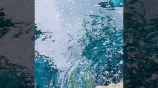 #Л_парк #2023 #ростовская_область