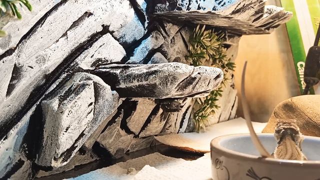 Подсматриваю за крохой :) смотреть онлайн