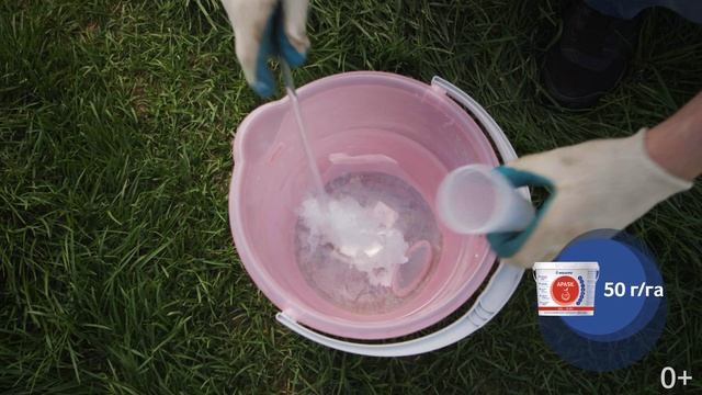 Вкусные угощения для гостей