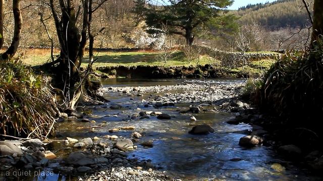 Relaxing Nature Sounds With Gentle Piano Music ( River, Birds Singing ) смотреть онлайн