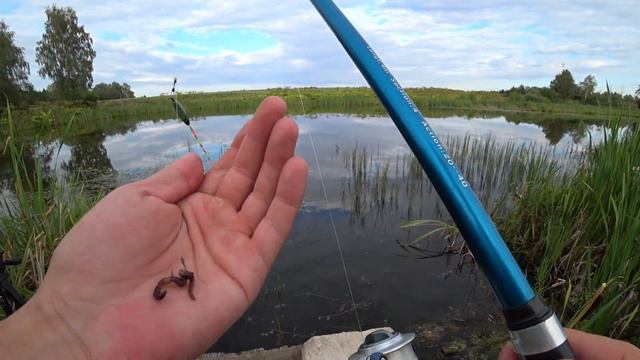 Рыбалка в поиски крупного карася на кукурузу с медом вечерняя рыбалка на поплавочную удочку 2023 смотреть онлайн