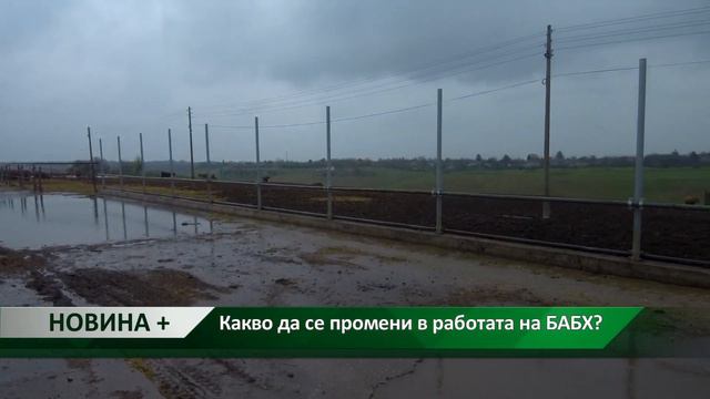 Новина плюс: Какво да се промени в работата на БАБХ? смотреть онлайн