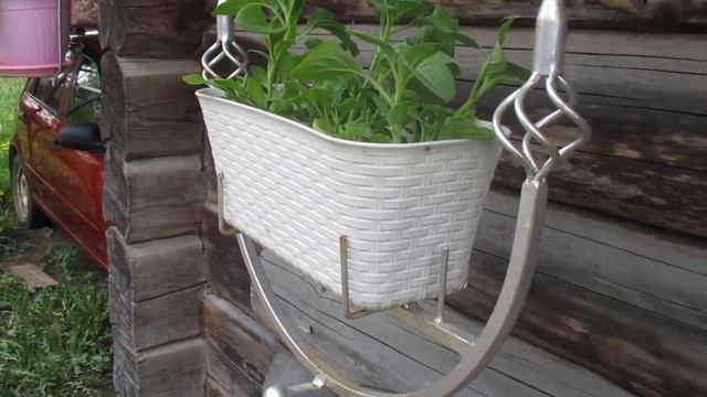 "Банька русская, калина красная". смотреть онлайн