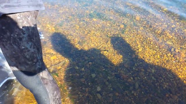 Выпуск мальков рыбы Иркутске, ниже плотины, на "квадрате". смотреть онлайн