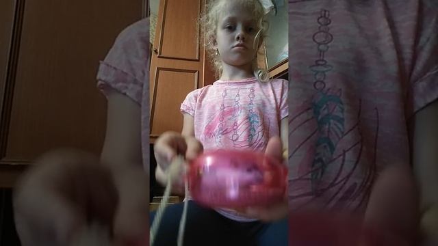 Купание джунгарских хомяков смотреть онлайн