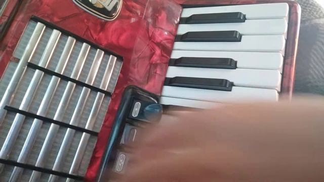 Schneewalzer на аккордеоне смотреть онлайн