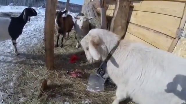 Переезд в деревню Ошибки надо признавать! SD 480p смотреть онлайн