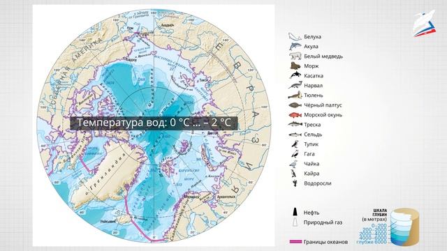 Северный Ледовитый океан смотреть онлайн
