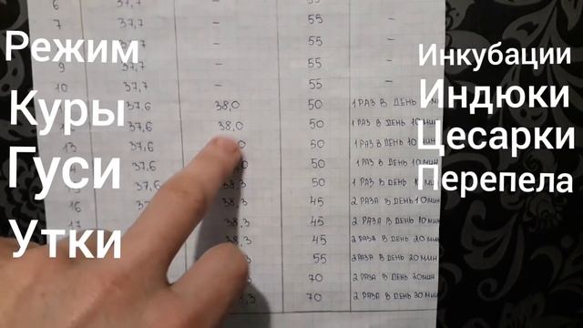 РЕЖИМ ИНКУБАЦИИ.КУРЫ ИНДЮКИ.ГУСИ.УТКИ.ЦЕСАРКИ.ПЕРЕПЕЛА.
