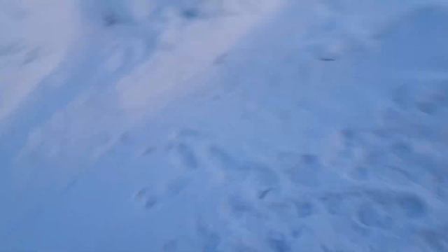 2000 Ski-Doo MXZ 700