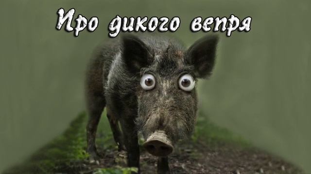 Про дикого вепря. (В. Высоцкий) смотреть онлайн