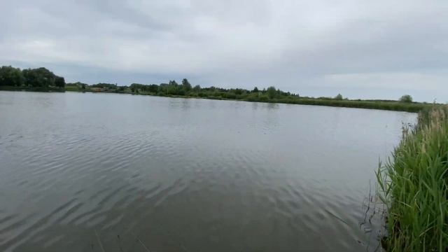 Озеро Торфяное| Ловля карпа смотреть онлайн