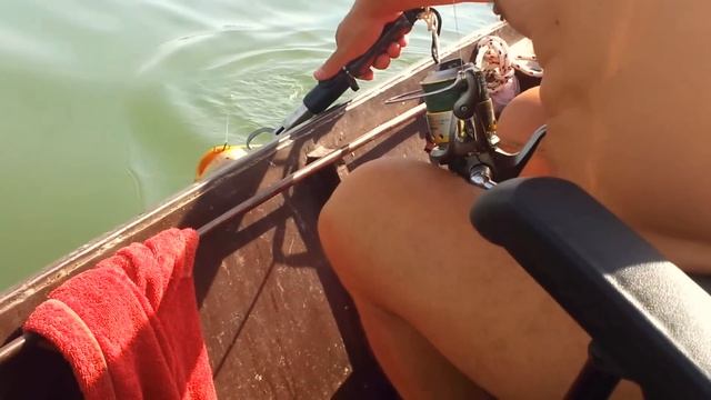 Как ловить сома на донку. Сербия, Дунай. смотреть онлайн