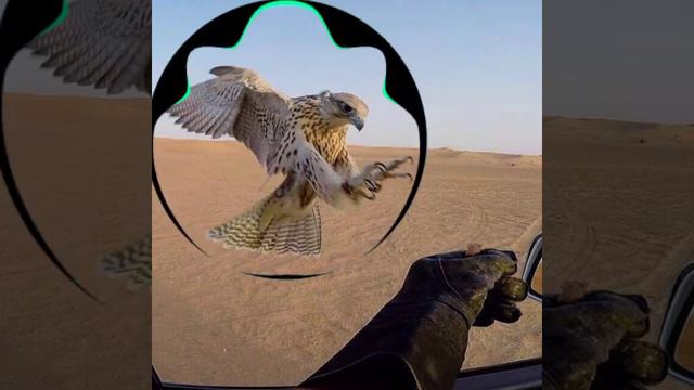 музыка для машину сами лучше музыка каиф смотреть онлайн