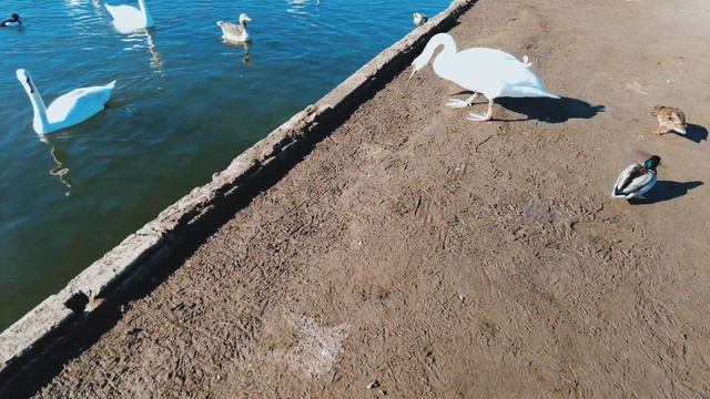 Nymphenburg | Nymphenburg Palace Walk Tour | Explore Nymphenburg Palace
