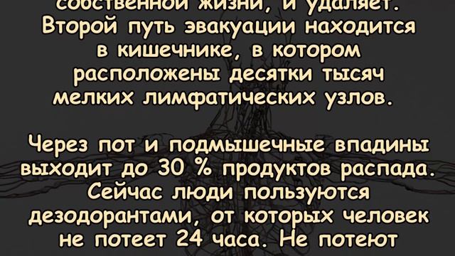 Почему происходит ЗАСТОЙ ЛИМФЫ и к чему это приводит?