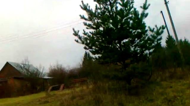 Твоя Россия Деревня в МО готовим рыбу тилапию на печи. смотреть онлайн